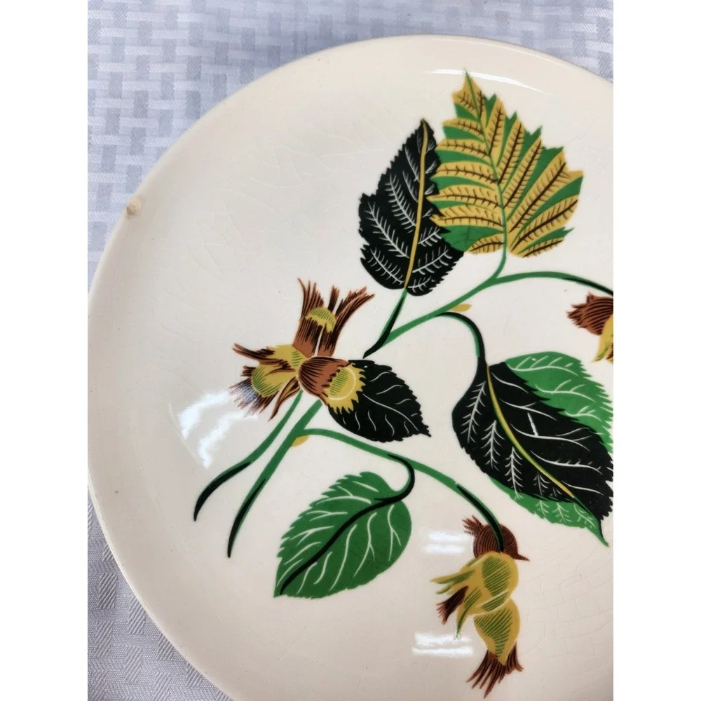 Ballerina China Hazelnut Potteries Leaves & Nuts Set of 8 Dinner Plates
